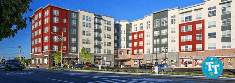 Apartments For Rent In Bergen County Nj Pet Friendly