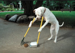 Pet-Sitter-Dog-Walker-300x214.png