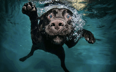 underwater lab casteel