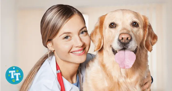 Best Vets Reviews