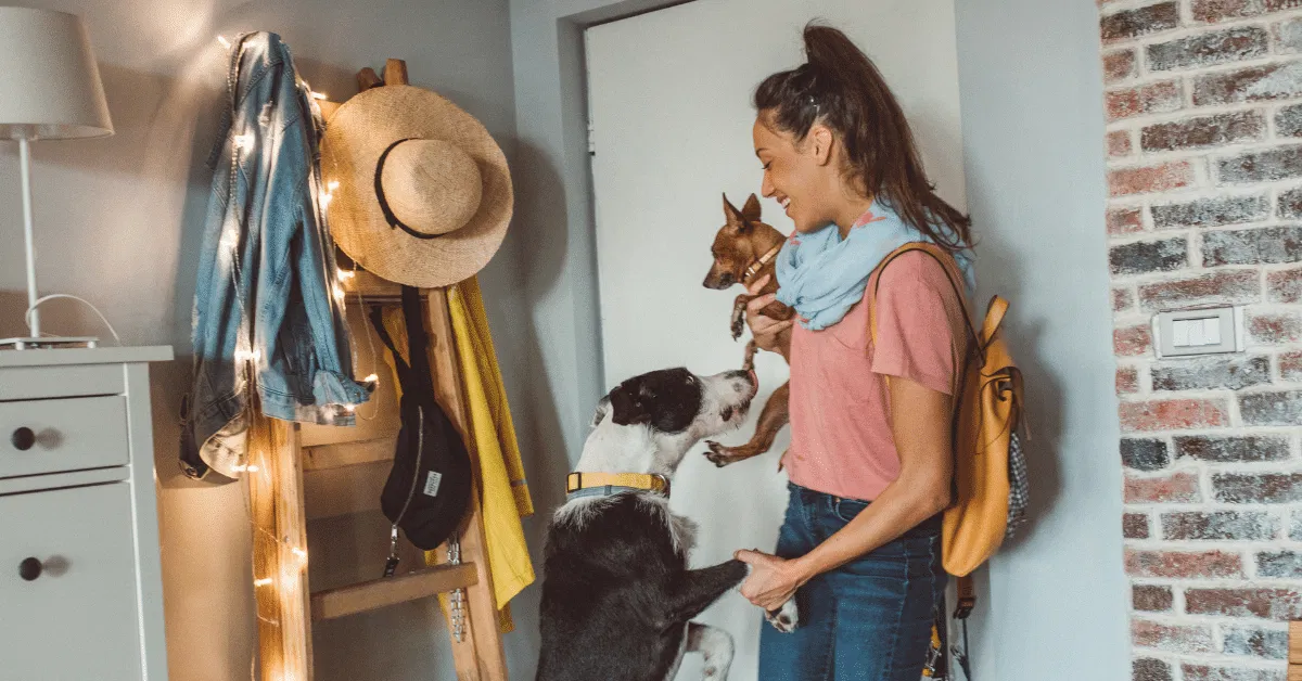 Five Reasons Why a Dog Sitter Benefits You as the Owner