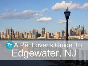 Pet Lover's Gudie to Edgewater NJ