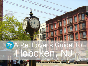 Pet Lover's Guide to Hoboken