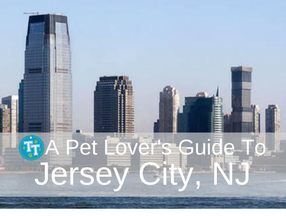 Pet Lover's Guide to Jersey City