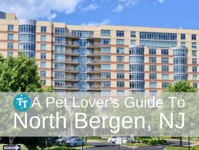 Pet Lover's Guide to North Bergen