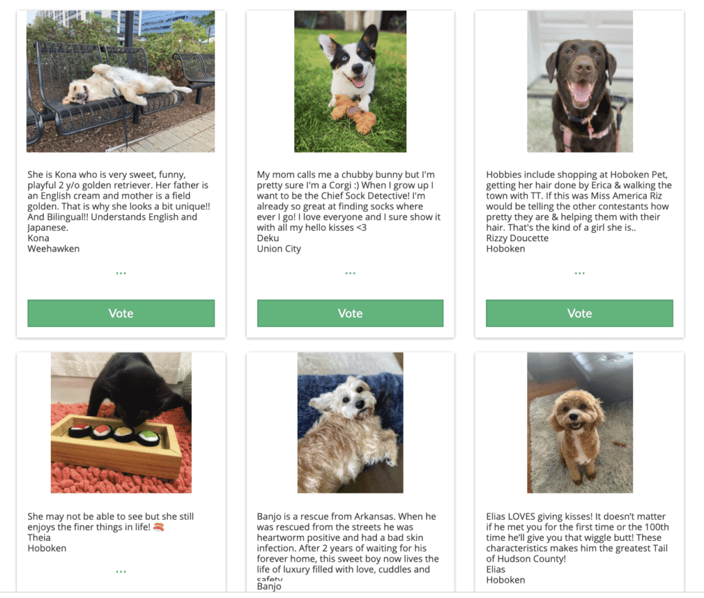 Tail of the Year Award