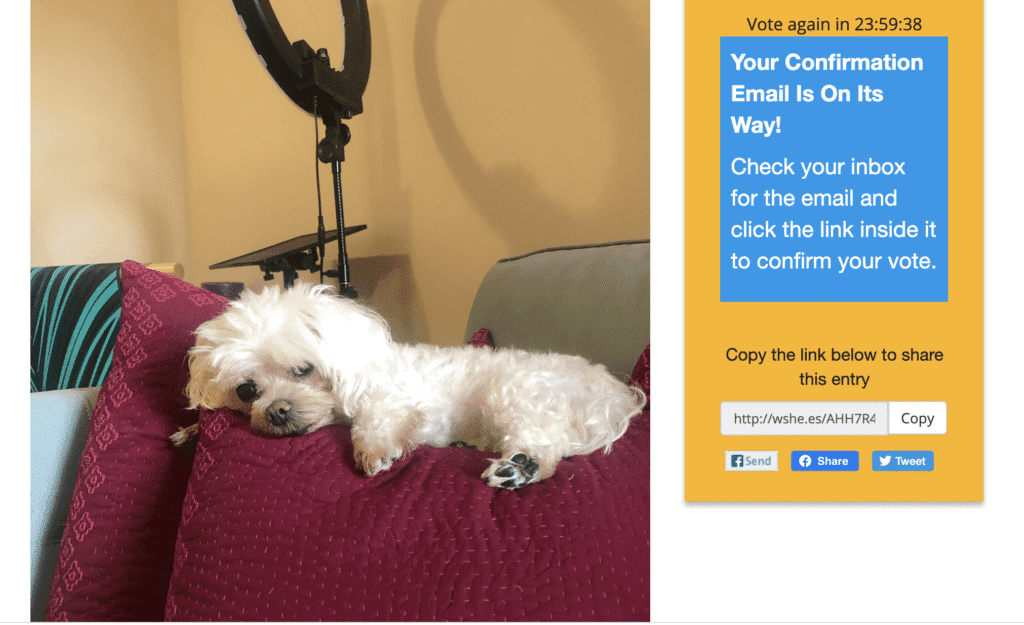 Tail of the Year Award