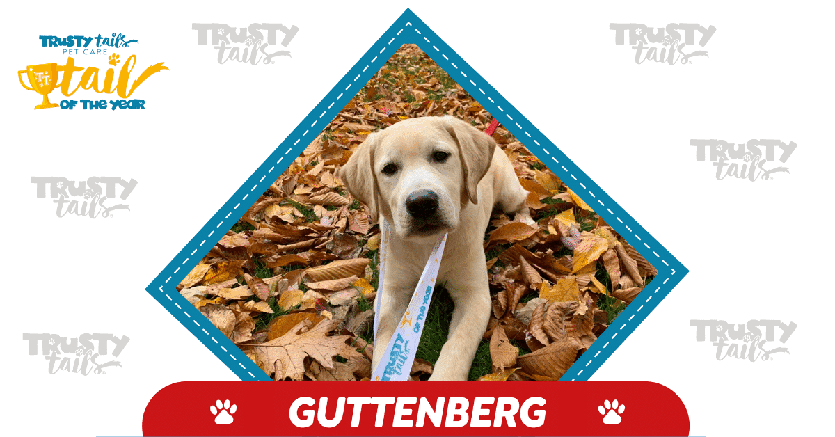 Tucker - Guttenberg