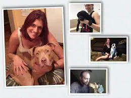 Canine Cure dog trainer