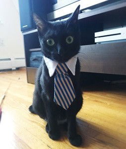 Hoboken Hunter Hanley