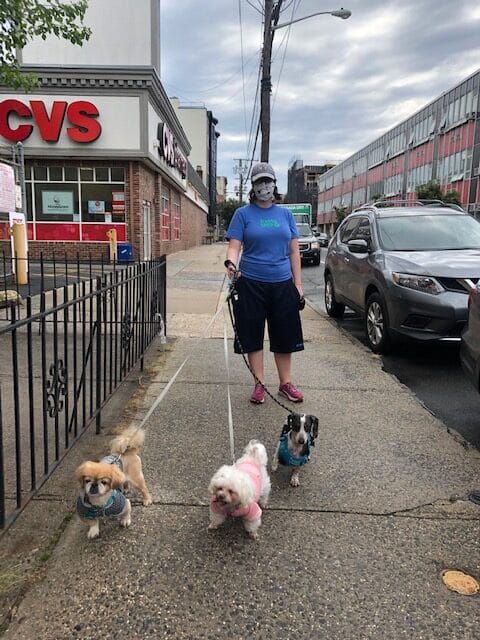 trusty tails dog walker zara