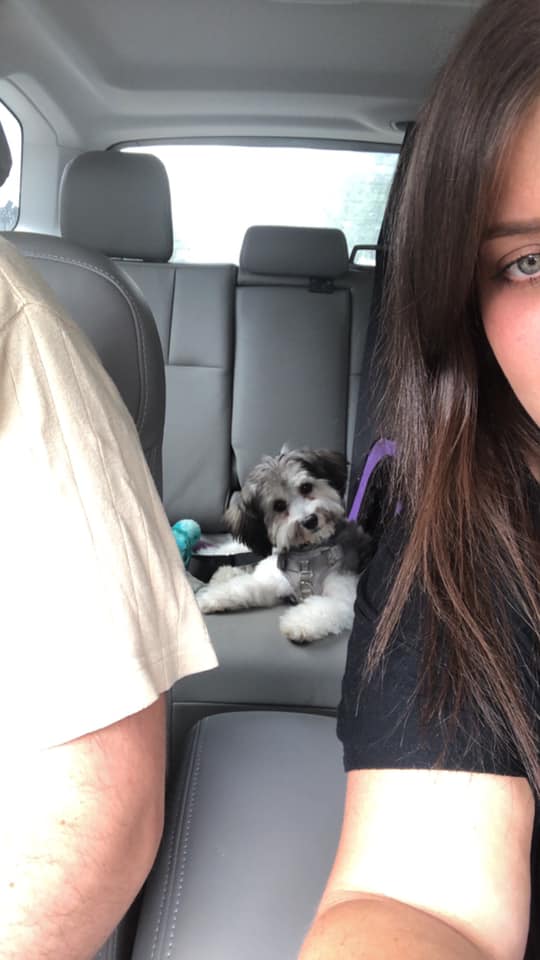 Tail of West New York