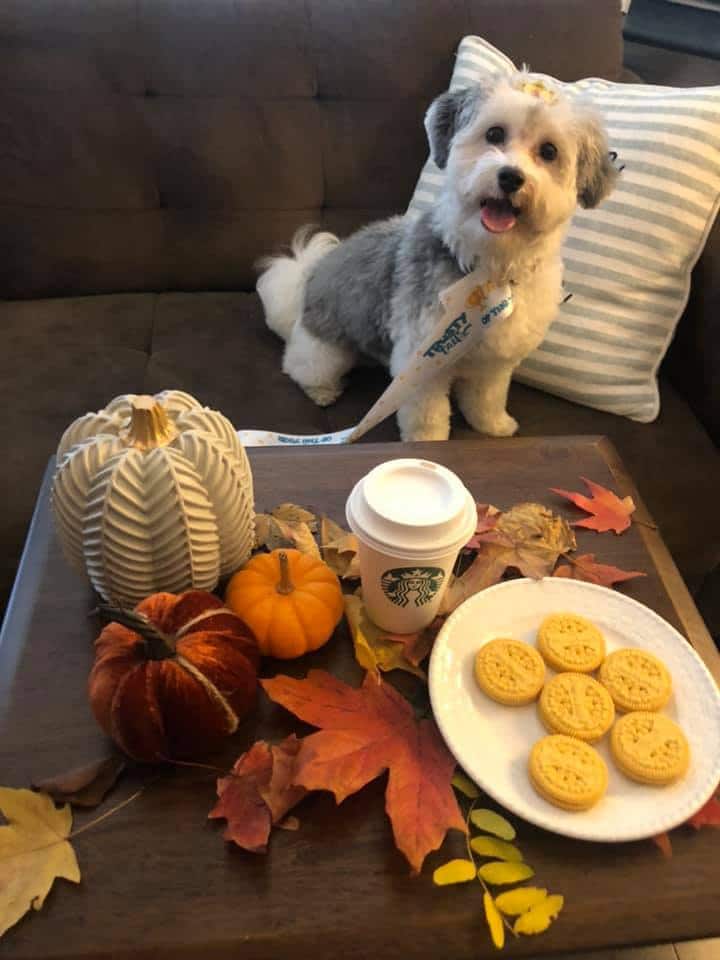 Tail of West New York