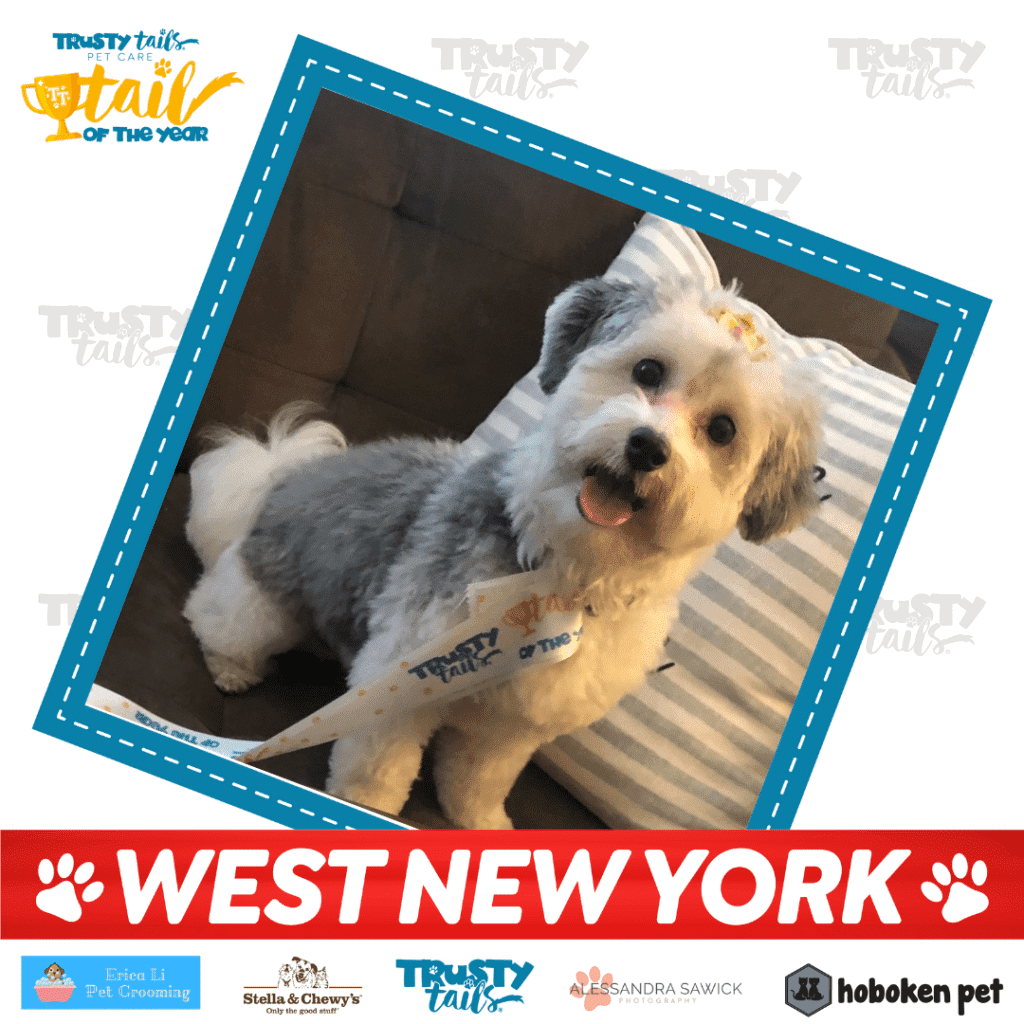 Tail of West New York