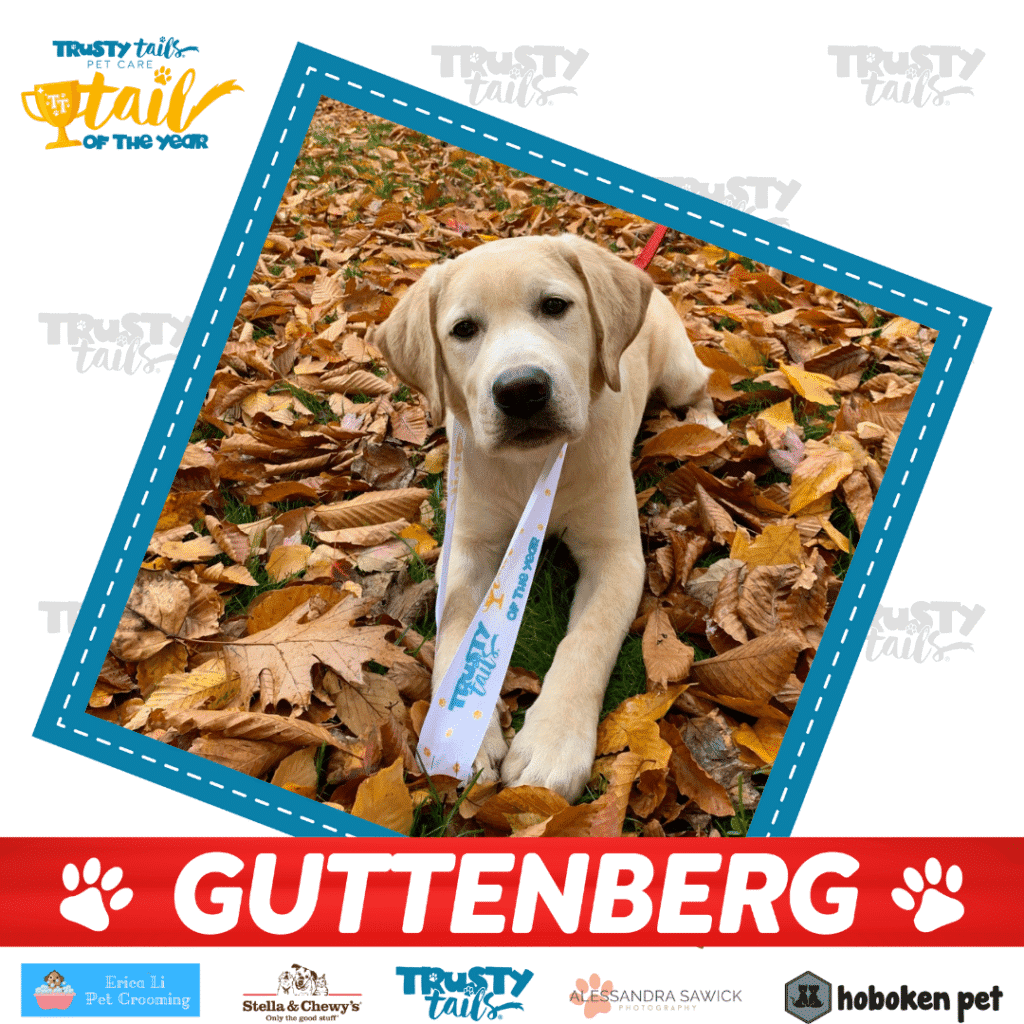 tail of guttenberg