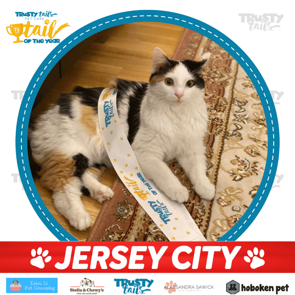 tail of jersey city