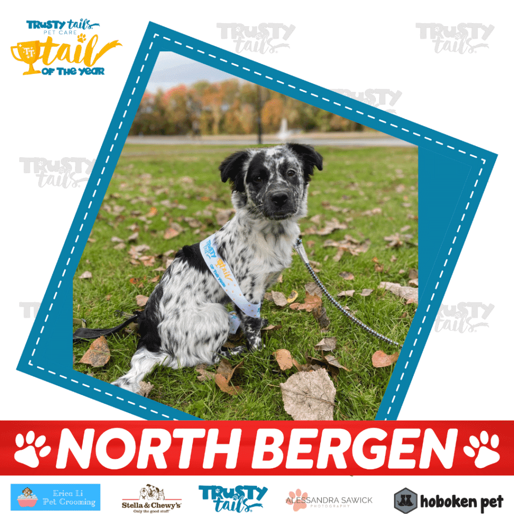 tail of north bergen