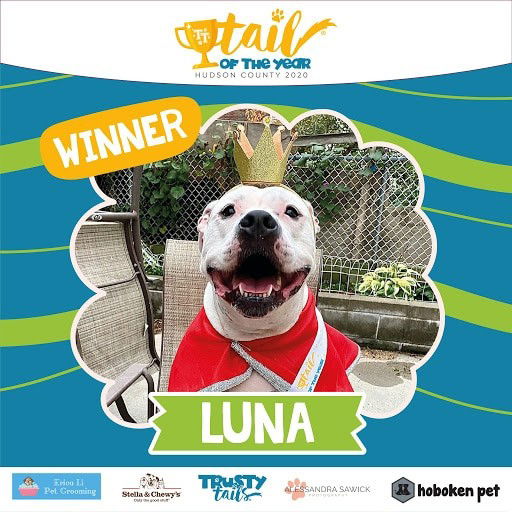 LUNA Winner tail of the year 2020