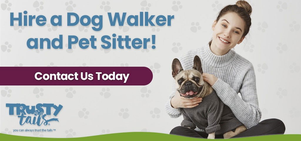 hire a pet sitter