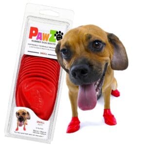 5 Best Dog Snow Boots - Reviews and Guide (2021)