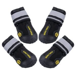 5 Best Dog Snow Boots - Reviews and Guide (2021)