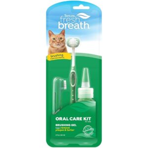 Best Toothbrush Kit for Cats