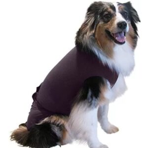 The Best Dog Anxiety Vest That Actually Works