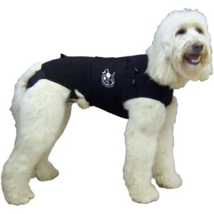 The Best Dog Anxiety Vest That Actually Works