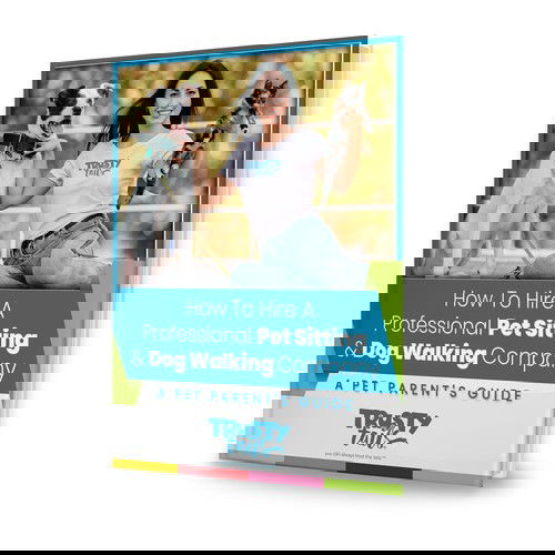 pet sitting dog walking hiring company