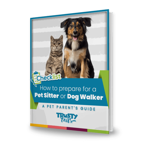 How to Prepare for a Pet Sitter Dog Walker