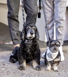 UNJUMBOLD - 2021 tail of the year sponsor