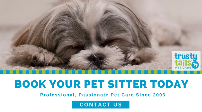 Book Your Pet Sitter Today