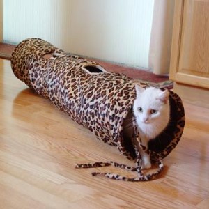 cat tunnel