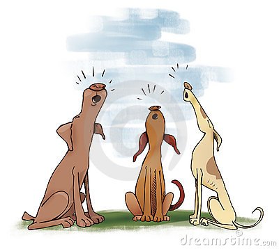 dogs howling illustration