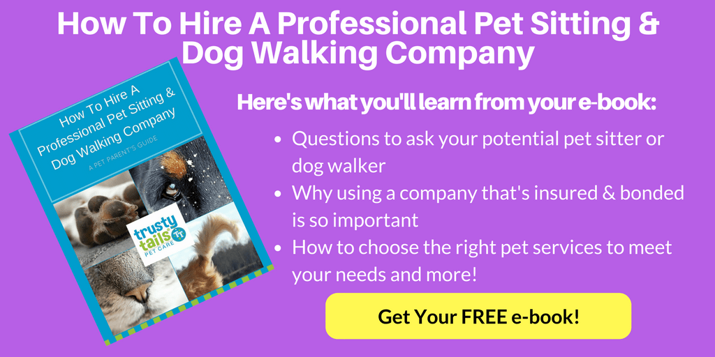 Download Hire Professional Pet Sitting Dog Walking