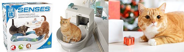 kittygifts2.jpg