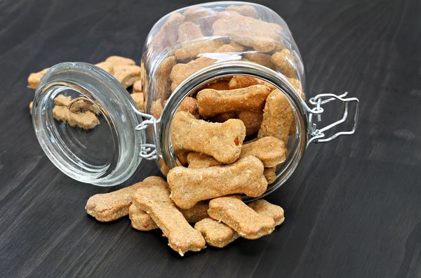 dog treats generic blog post image