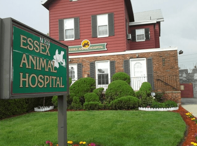 Essex-Animal-Hospital-1.png