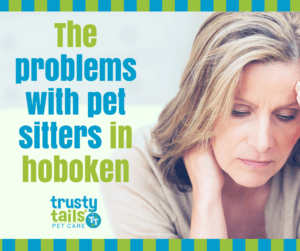 problems-with-hiring-a-pet-sitter.png