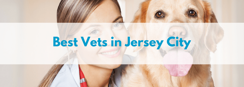 Best Vets in Jersey City banner