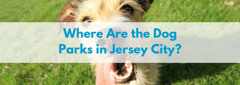 Where-are-the-dog-parks-in-Jersey-city.png