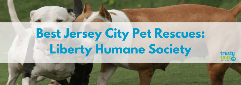 Liberty Humane Society