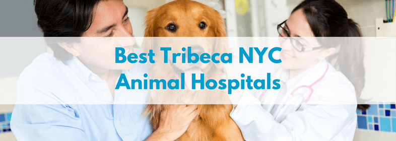 Best Tribeca NYC Animal Hospitals banner