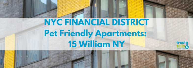 NYC Financial-District-Pet-Friendly-Apartments-5-William-NY-15-William-Street.png