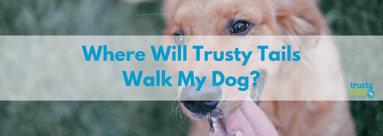 Where-will-Trusty-Tails-walk-my-dog.png