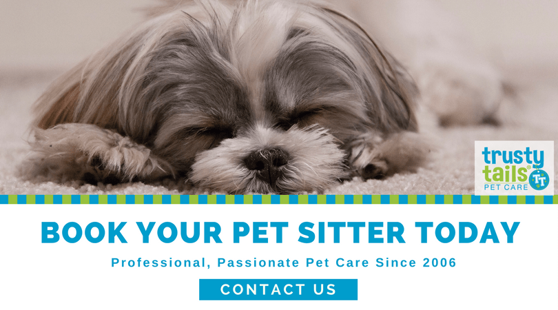 book-your-pet-sitter-today