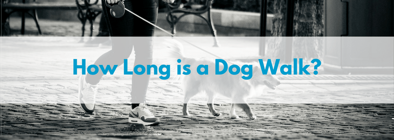 how long is a dog walk