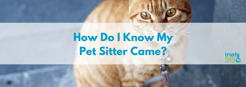 How-do-i-know-my-pet-sitter-came.png