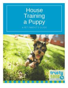 House-Training-A-Puppy_Cover-232×300.png House Training a Puppy