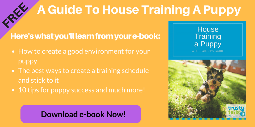 Download House Training A Puppy